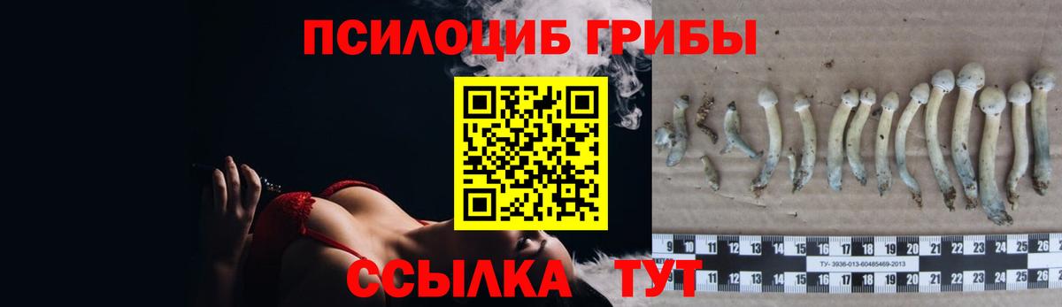 Галлюциногенные грибы мухоморы  Вход с VPN  Нерюнгри 